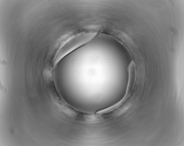 X0000091330432200708101429