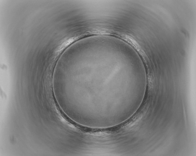 X0000091330433200708101428