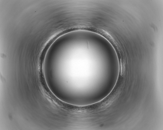 X0000091330435200708101428