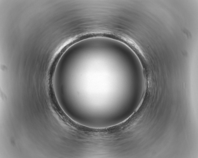 X0000091330436200708101428