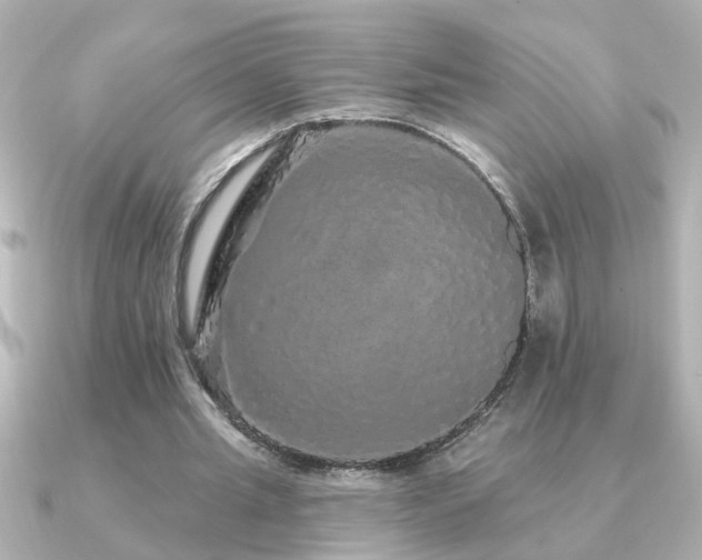 X0000091330437200708101428