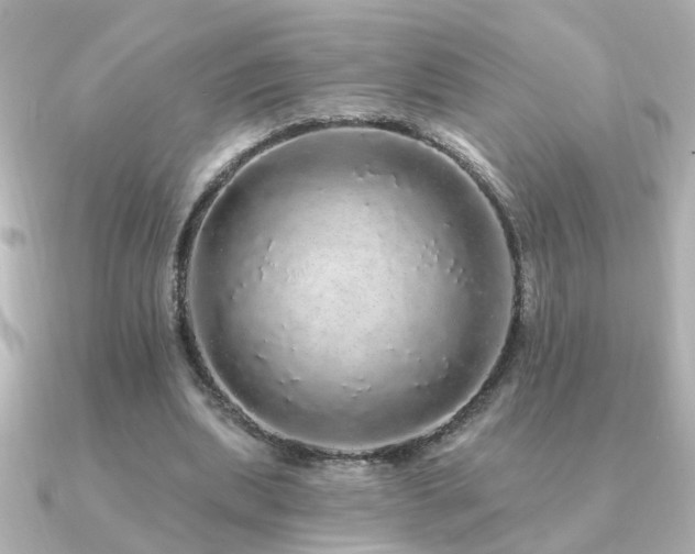 X0000091330439200708101428