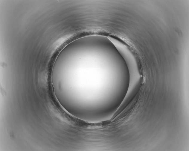 X0000091330440200708101428