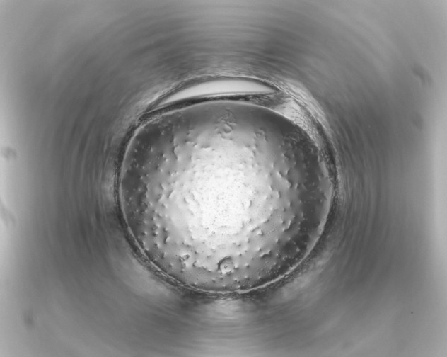 X0000091330441200708101428
