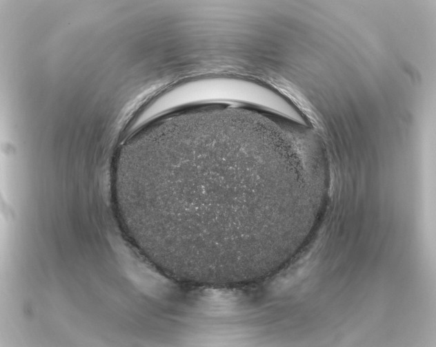 X0000091330442200708101428