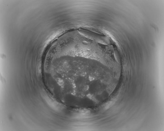 X0000091330443200708101429