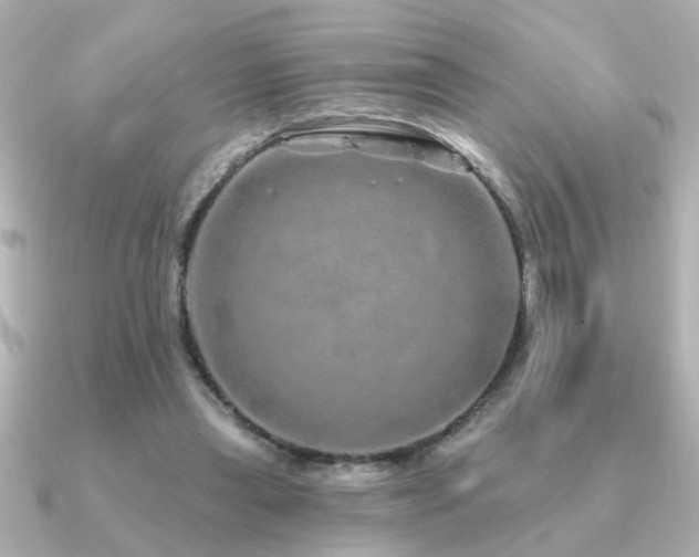 X0000091330445200708101429