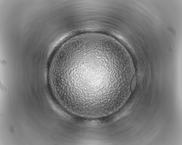 X0000091330446200708101429
