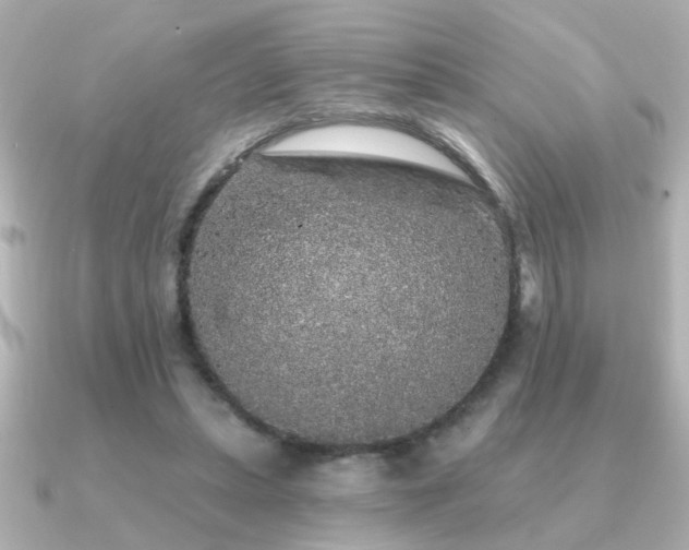 X0000091330447200708101429