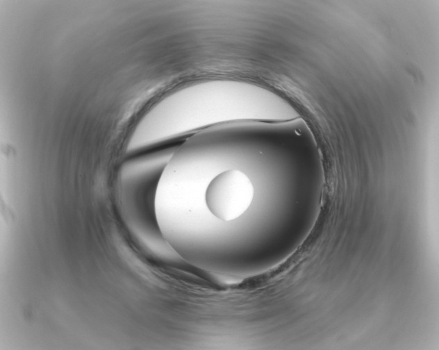 X0000091330448200708101429