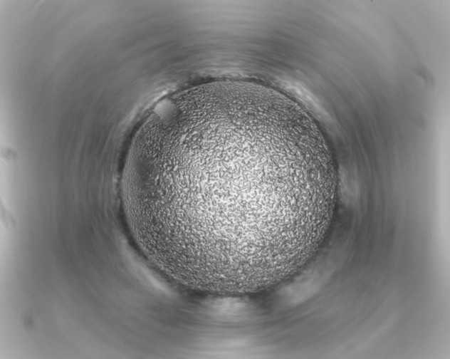 X0000091330449200708101429