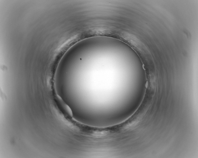 X0000091330450200708101429