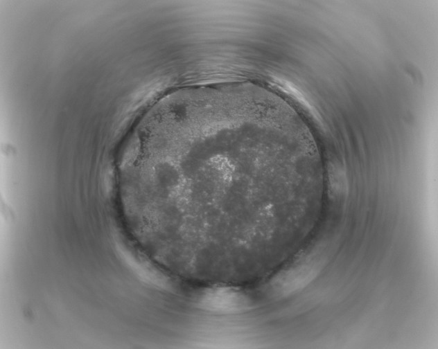 X0000091330451200708101429
