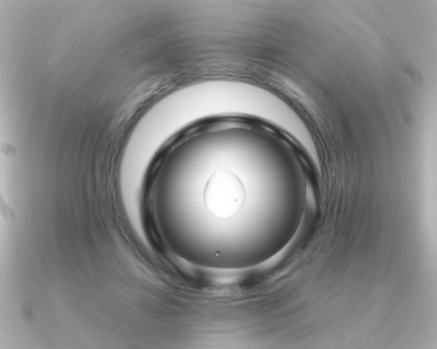 X0000091330452200708101429