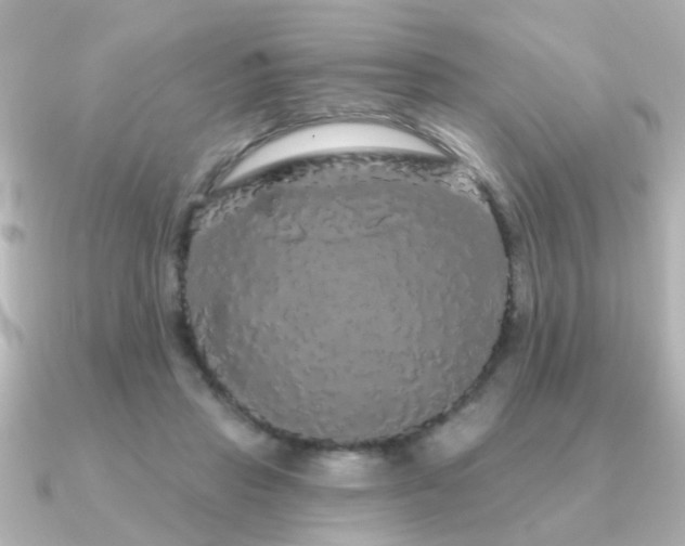 X0000091330453200708101429