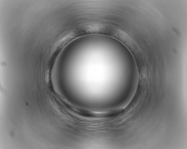 X0000091330454200708101429