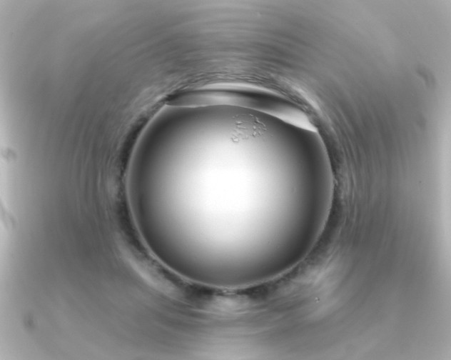 X0000091330455200708101429