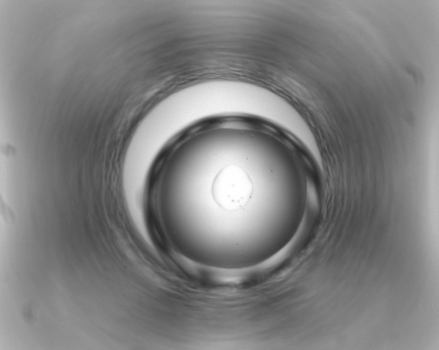 X0000091330456200708101429