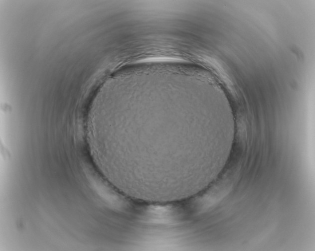 X0000091330457200708101429