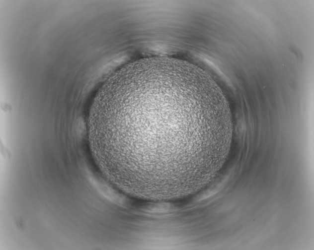 X0000091330459200708101429