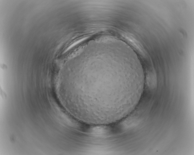 X0000091330461200708101429