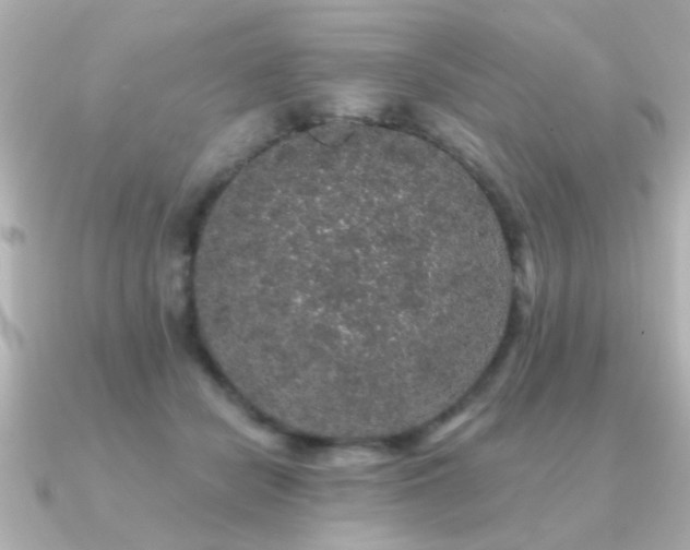 X0000091330462200708101429