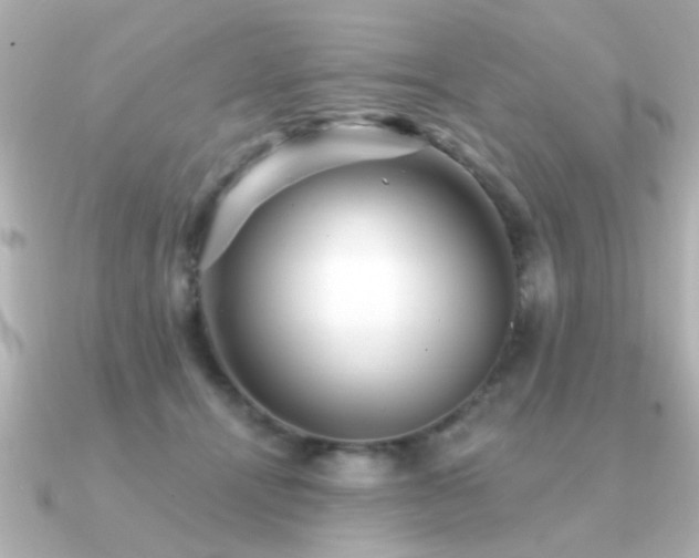 X0000091330464200708101429
