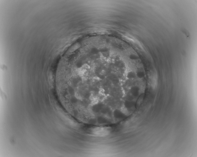 X0000091330465200708101429