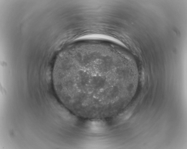 X0000091330466200708101429