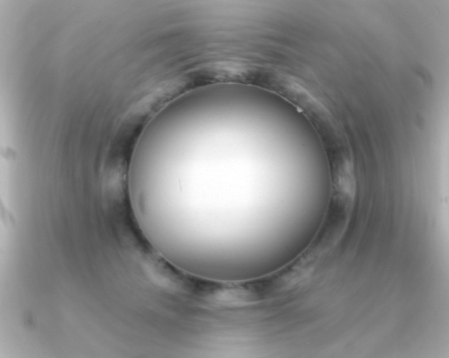 X0000091330468200708101429
