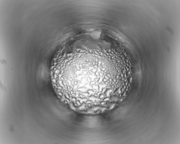X0000091330469200708101429