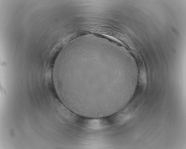 X0000091330473200708101429