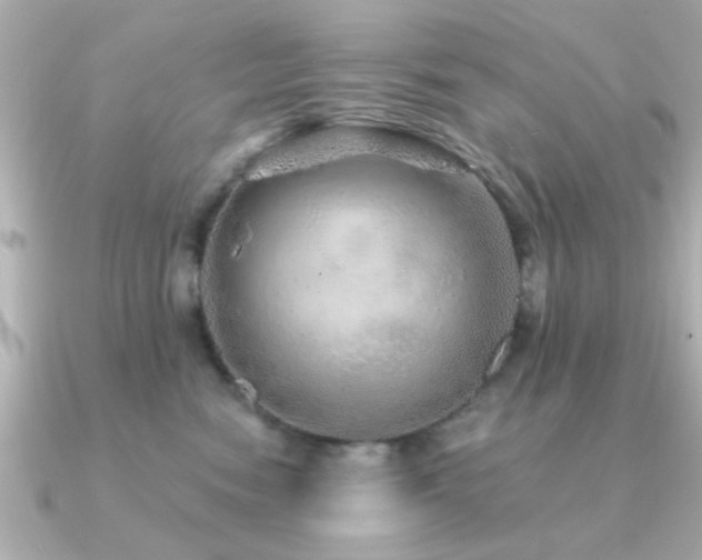 X0000091330474200708101429