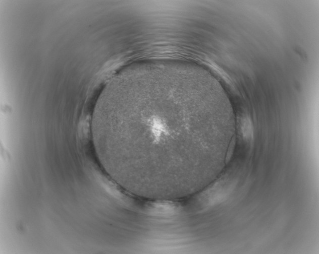 X0000091330475200708101429