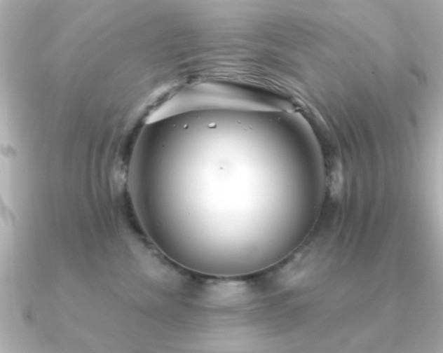 X0000091330476200708101429