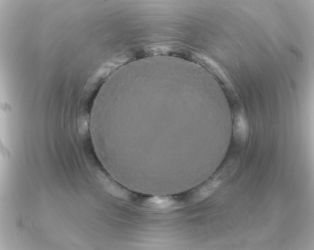 X0000091330477200708101429