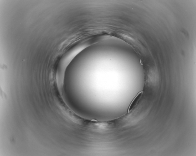 X0000091330478200708101429