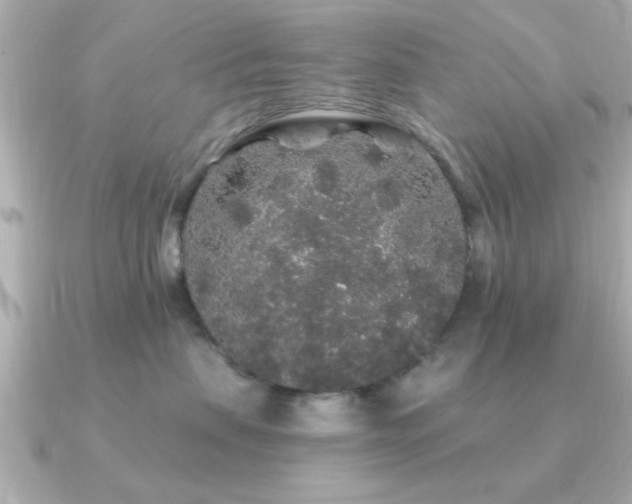 X0000091330479200708101429