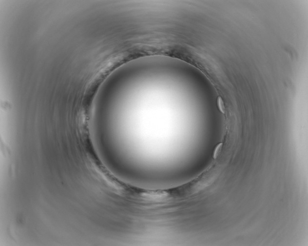 X0000091330480200708101429
