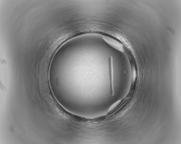 X0000091330481200708101428