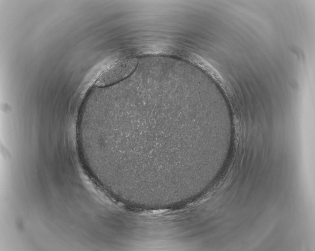 X0000091330482200708101428