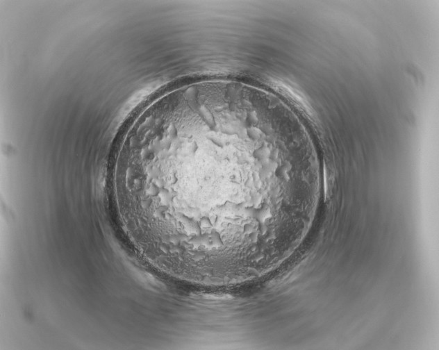 X0000091330483200708101428