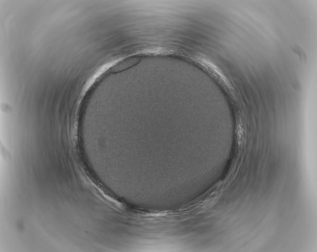 X0000091330484200708101428