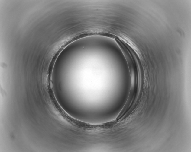 X0000091330485200708101428