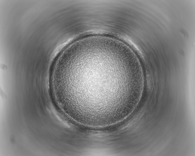 X0000091330486200708101428