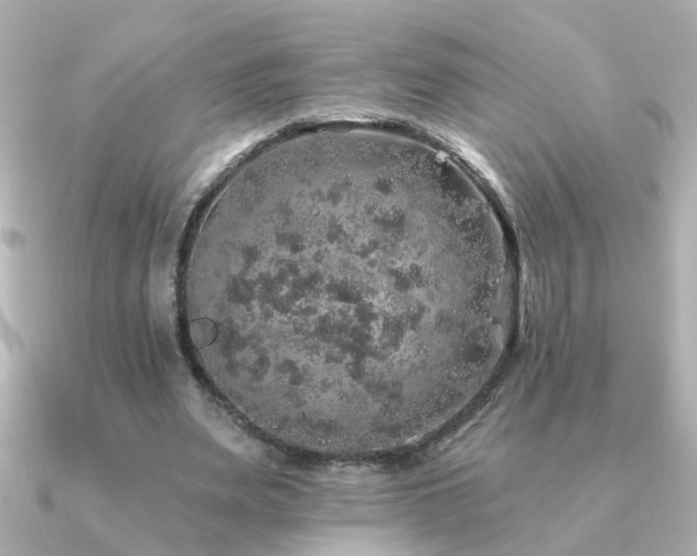 X0000091330487200708101428