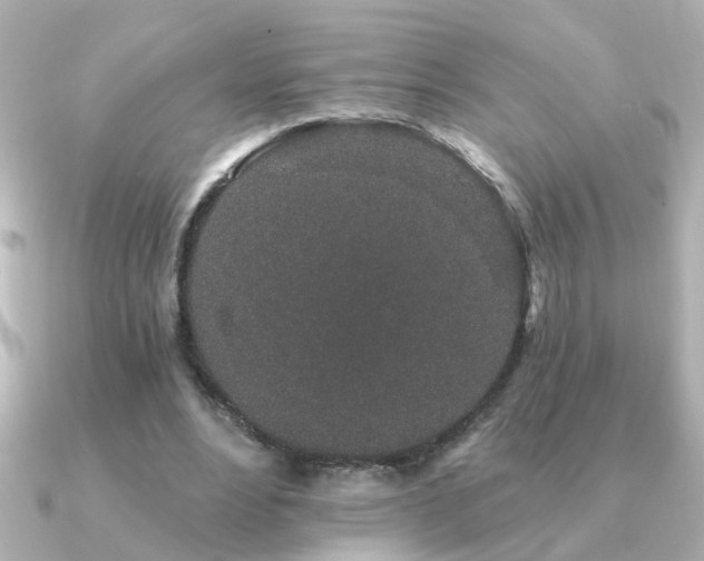 X0000091330488200708101428