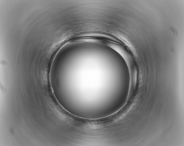 X0000091330489200708101428