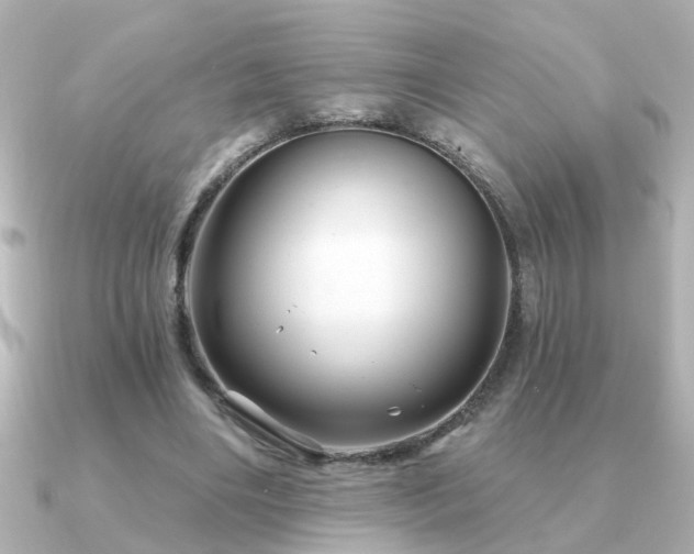 X0000091330490200708101428