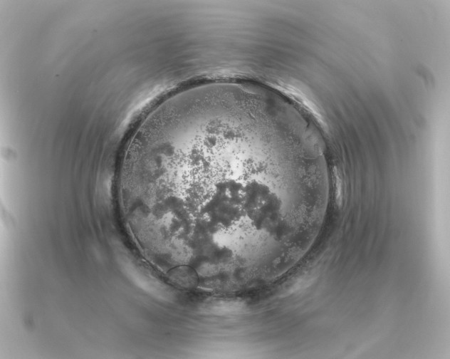 X0000091330491200708101428